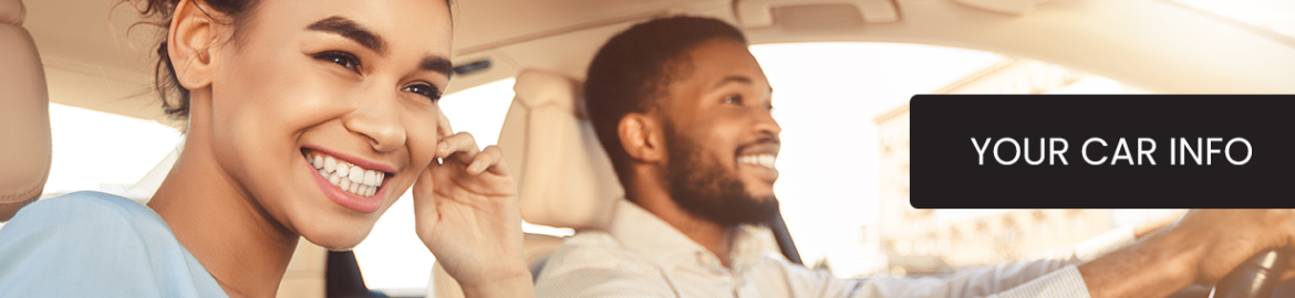 Your Car Information - Pulse